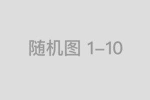 汹涌澎湃是什么生肖，成语破译应用方案